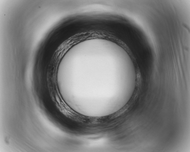 X0000102000765200807180848