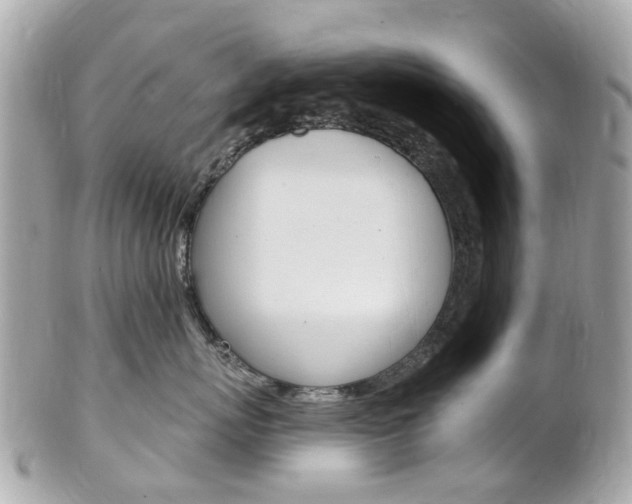X0000102000767200807180848