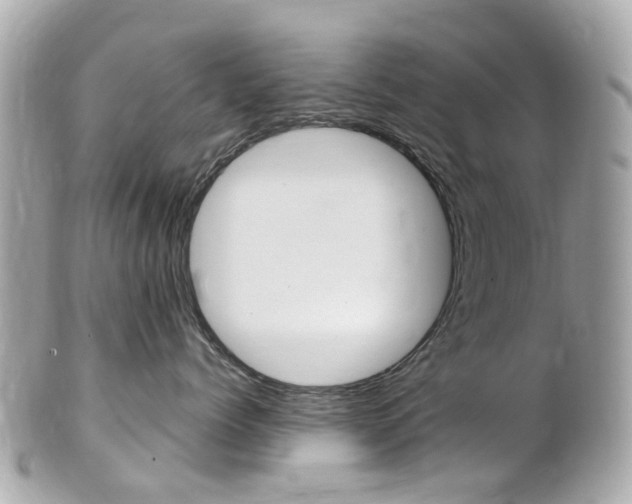 X0000102000768200807180848