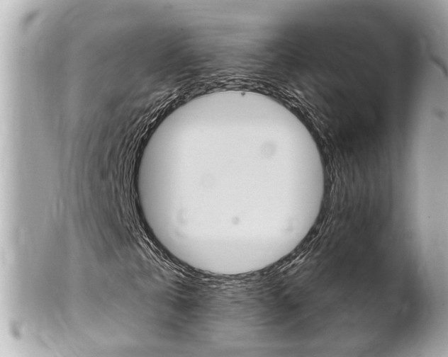 X0000102000769200807180847