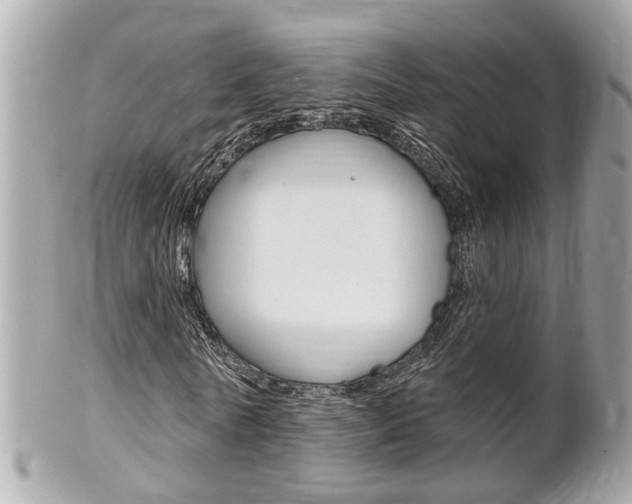 X0000102000770200807180847