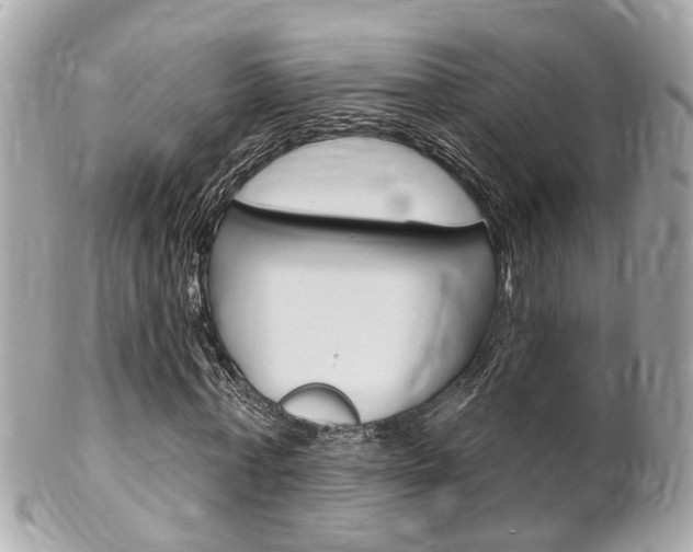 X0000102000771200807180847
