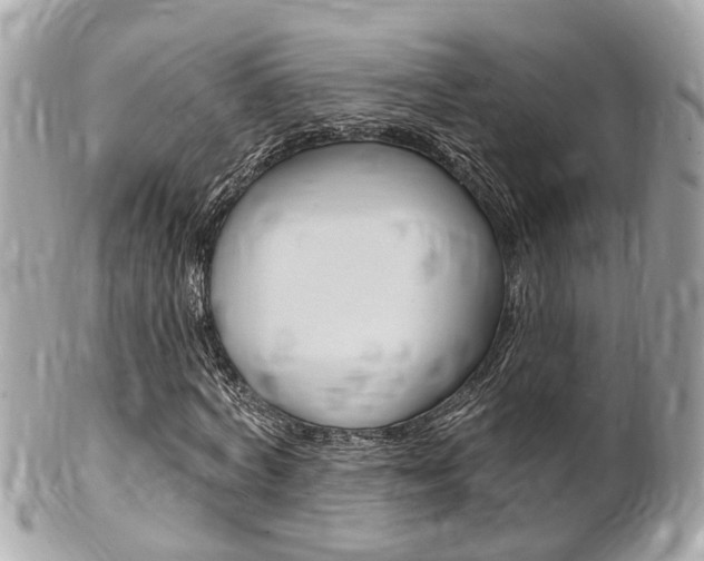 X0000102000772200807180847