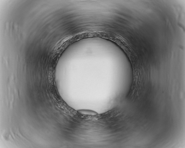 X0000102000773200807180847