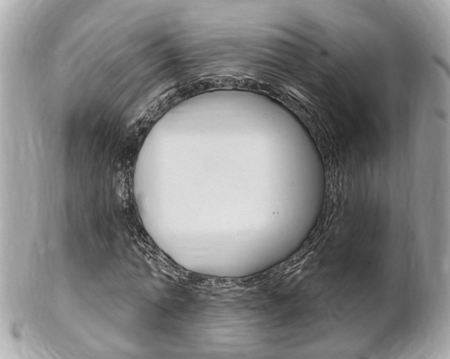 X0000102000774200807180847