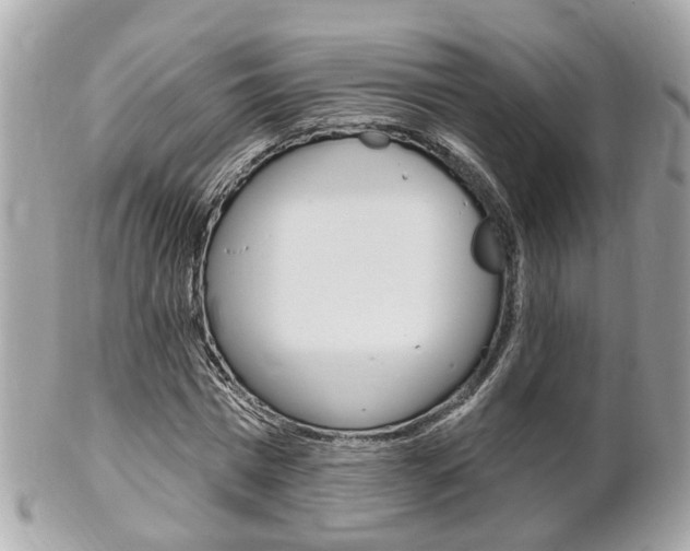 X0000102000777200807180847