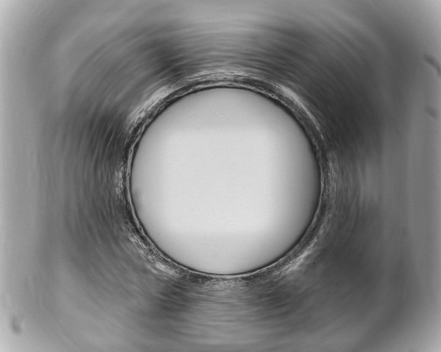 X0000102000778200807180847