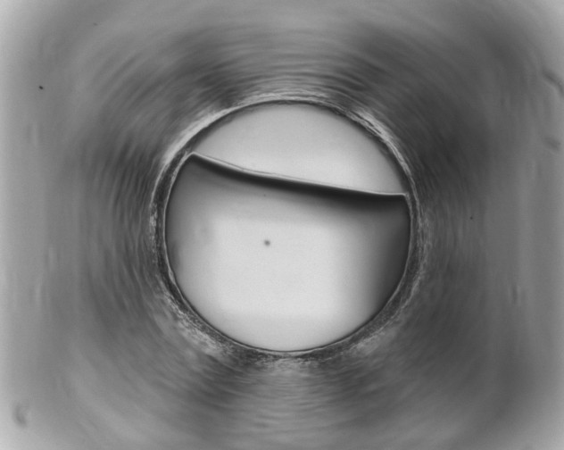 X0000102000779200807180847