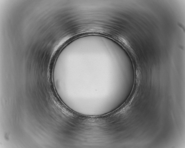 X0000102000780200807180847