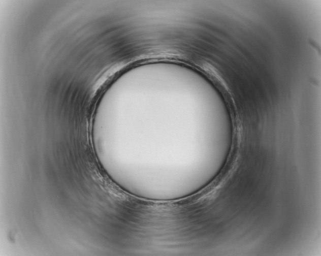 X0000102000781200807180847