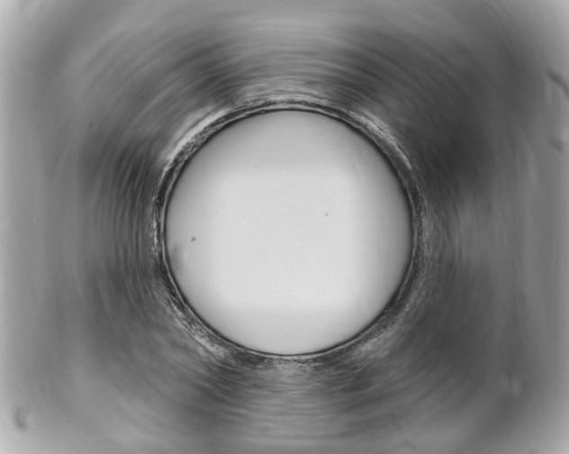 X0000102000782200807180847