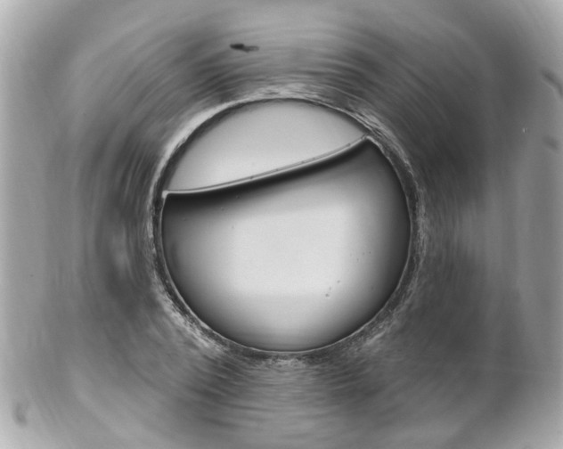 X0000102000784200807180847