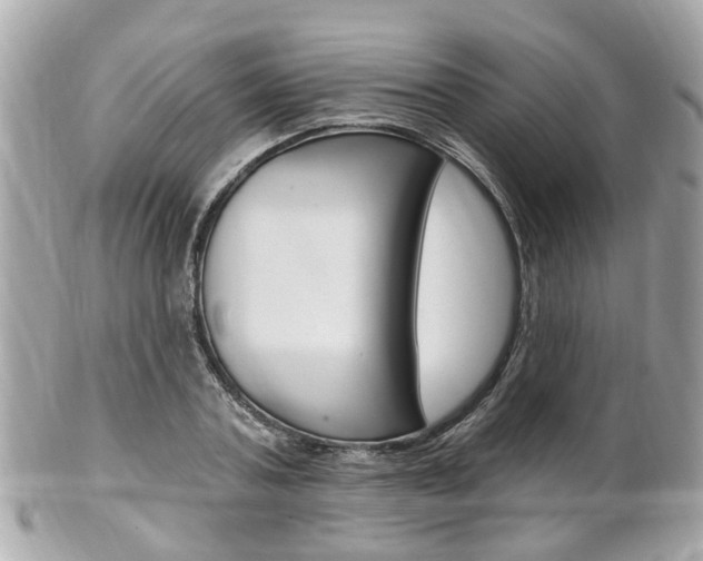 X0000102000787200807180847