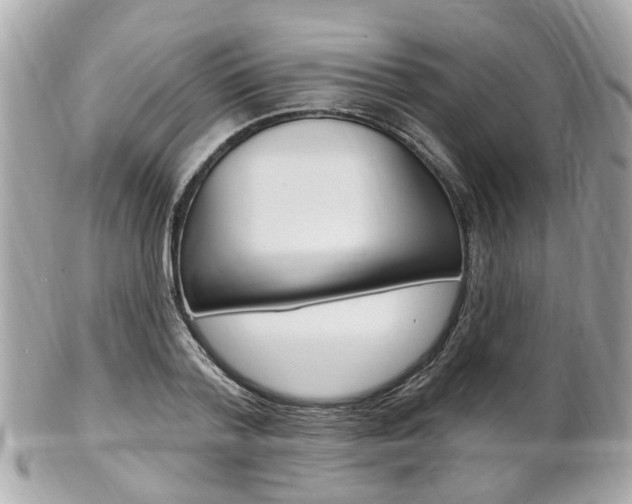 X0000102000788200807180847