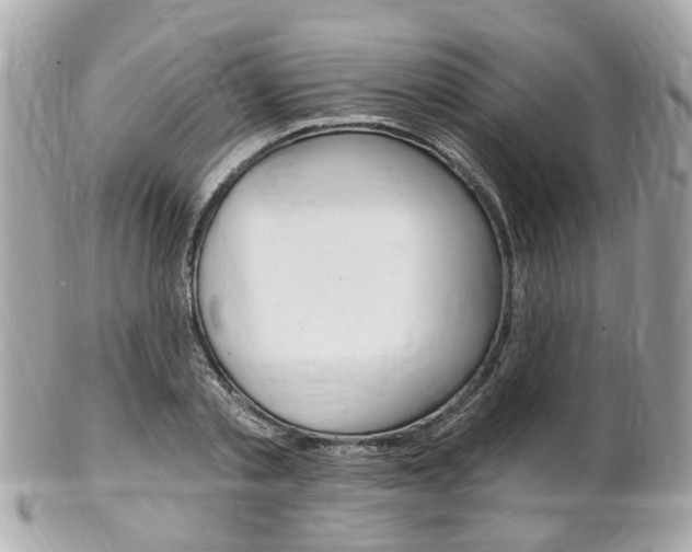 X0000102000789200807180847