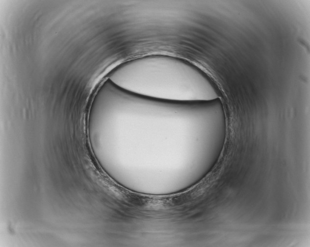 X0000102000790200807180847