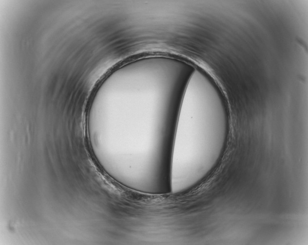 X0000102000791200807180847