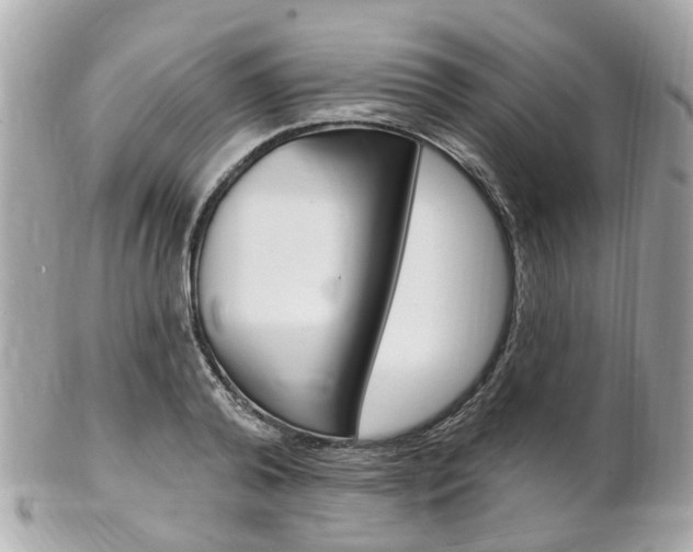 X0000102000792200807180847
