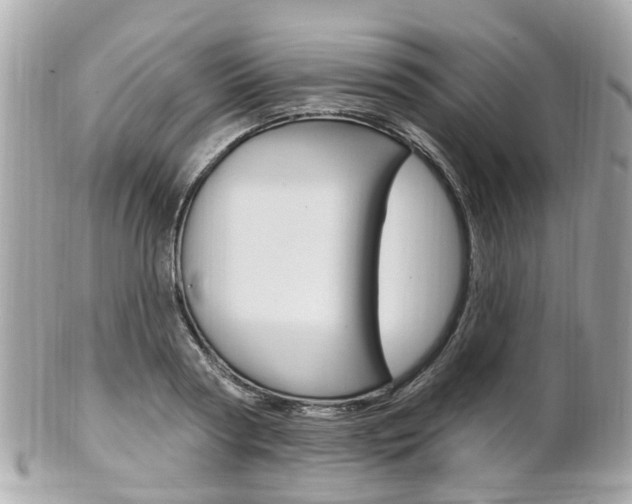 X0000102000794200807180847