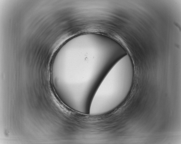 X0000102000795200807180847