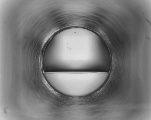 X0000102000796200807180847