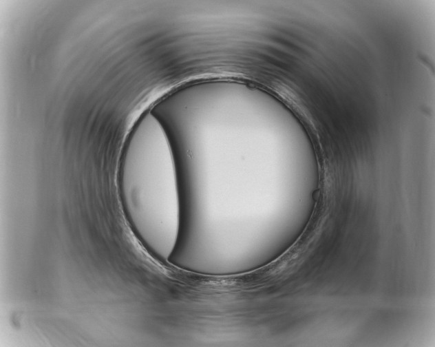 X0000102000797200807180847