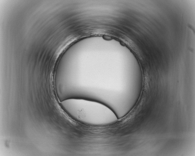 X0000102000798200807180847