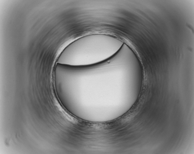 X0000102000803200807180847