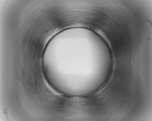 X0000102000805200807180847