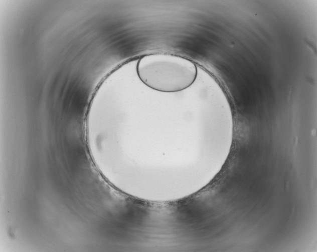 X0000102000807200807180847