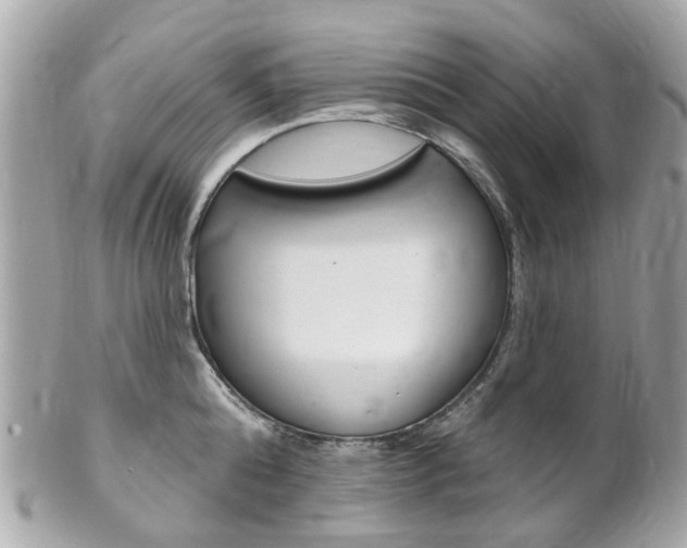 X0000102000808200807180847