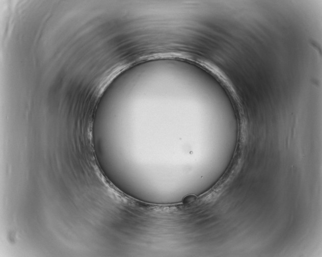 X0000102000809200807180847