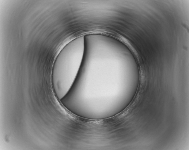 X0000102000810200807180847
