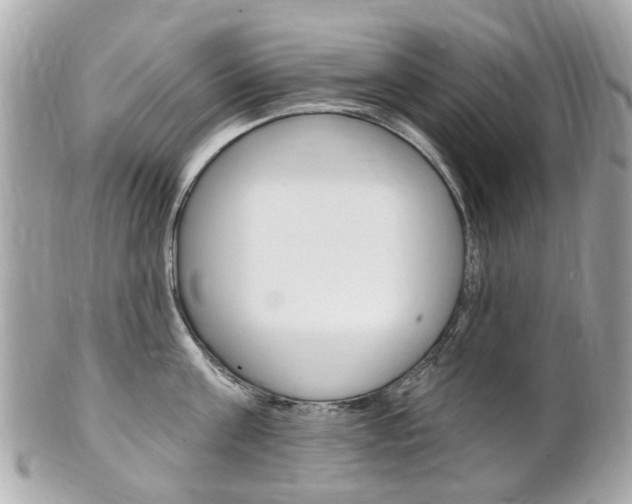 X0000102000811200807180847