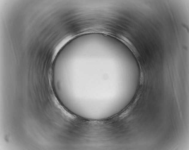 X0000102000812200807180847