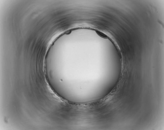 X0000102000815200807180847
