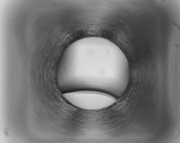 X0000102000817200807180846