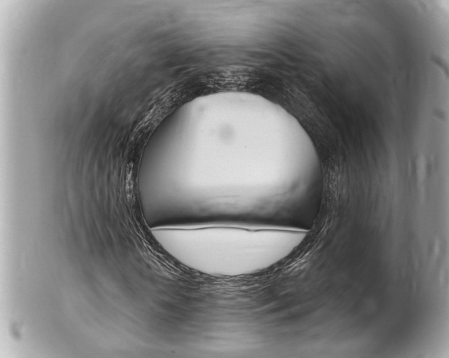 X0000102000818200807180846