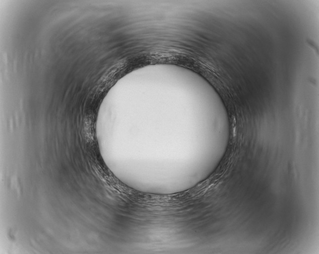X0000102000819200807180846