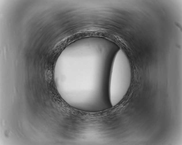 X0000102000821200807180846