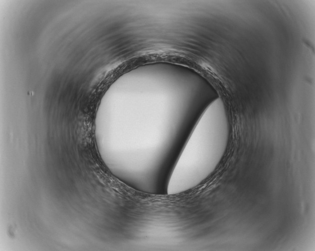 X0000102000822200807180846