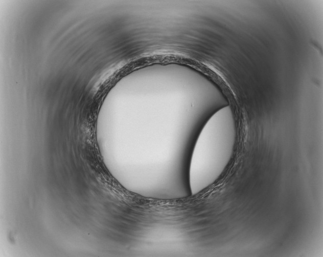 X0000102000823200807180846
