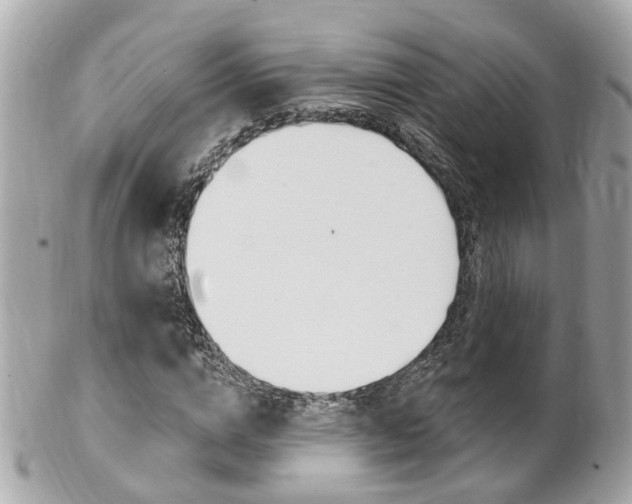 X0000102000824200807180846