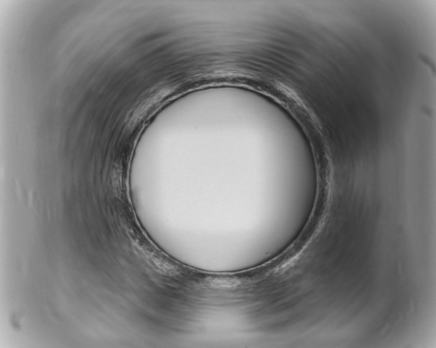 X0000102000825200807180846