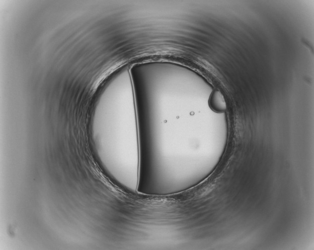 X0000102000826200807180846