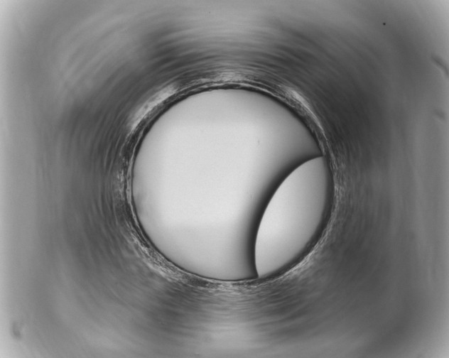 X0000102000827200807180846
