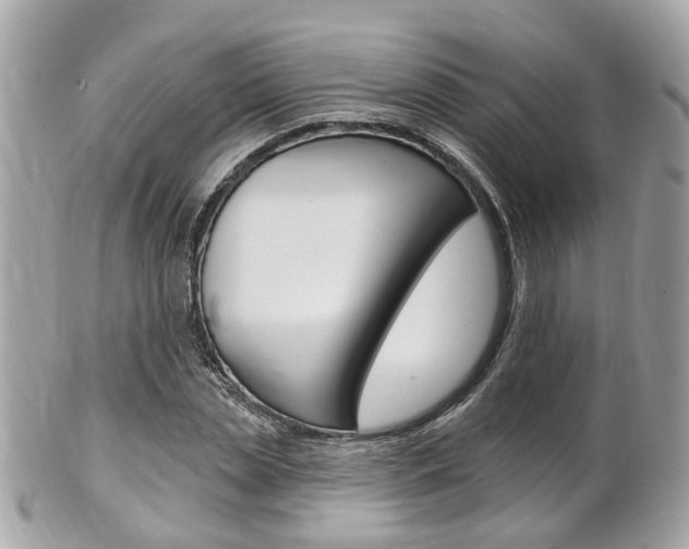 X0000102000829200807180846