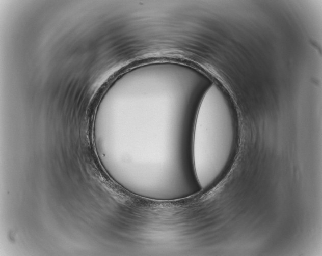 X0000102000830200807180846