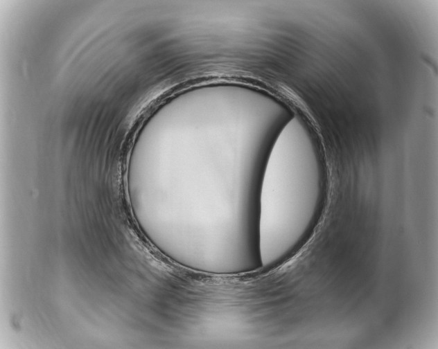 X0000102000831200807180846
