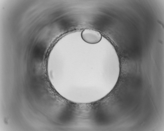X0000102000832200807180846